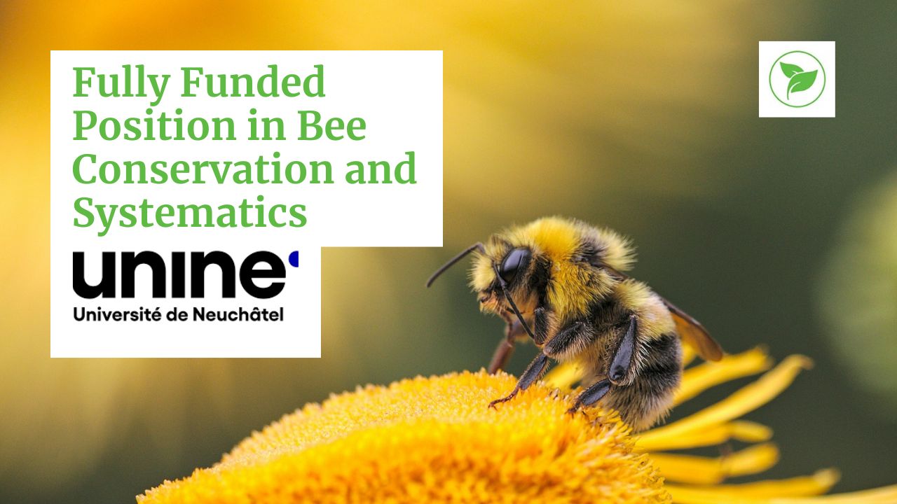 Bee Conservation and Systematics