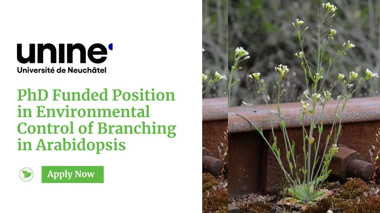 PhD Funded Position in Environmental Control of Branching in Arabidopsis at University of Neuchâtel in Switzerland