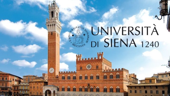 University of Siena International Excellence Scholarship 2024 | How To Apply