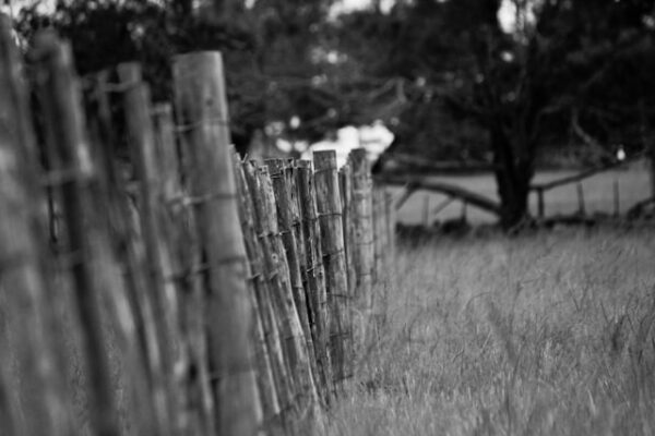 farm fence